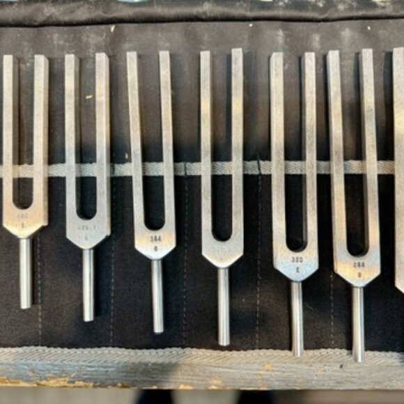 Set of 9 Medivibe Tuning Forks + Om Tuner – Sound Therapy & Chakra Healing Tools - Picture 2 of 7